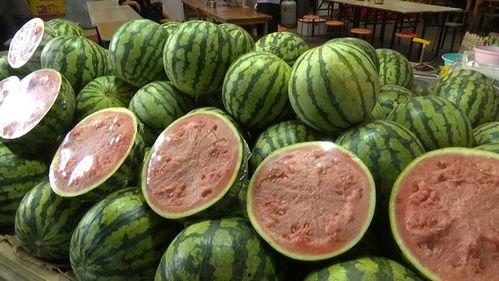 自由吃瓜结果,揭秘娱乐圈幕后真相