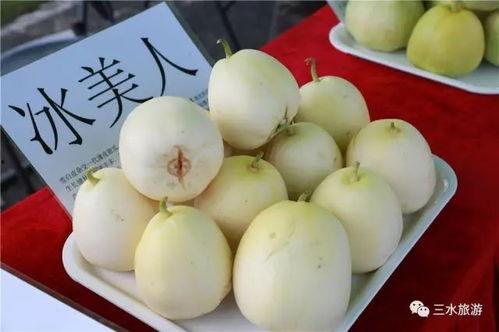 吃瓜小雪梨,揭秘娱乐圈那些不为人知的幕后故事