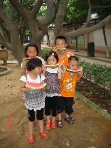 树下吃瓜观众,一场别开生面的夏日盛宴