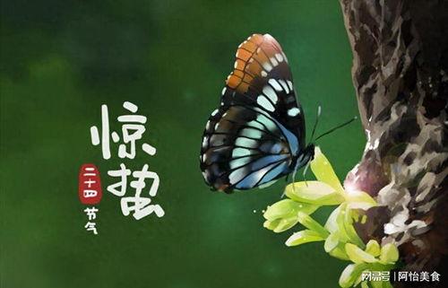 惊蛰吃瓜,探寻传统习俗中的美食智慧