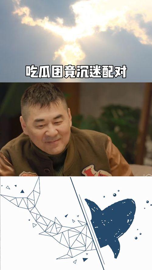 吃瓜的舍友,揭秘吃瓜舍友的趣味生活点滴
