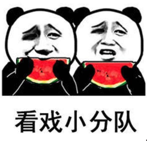 狼狈吃瓜表情图,表情图背后的趣味人生