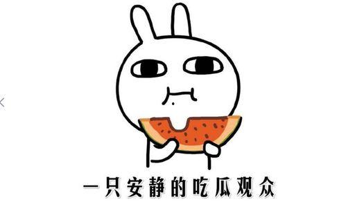 快手怎么吃瓜,轻松解锁热门话题，畅享娱乐盛宴